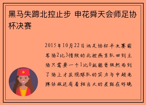 黑马失蹄北控止步 申花舜天会师足协杯决赛